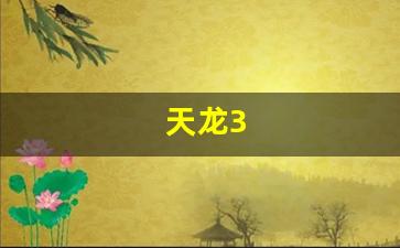 天龙3(天龙30反辐射导弹) (3)