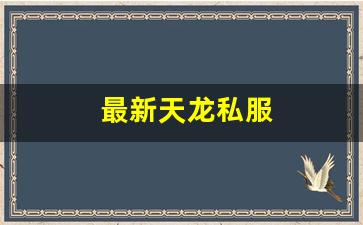 天龙八部 sf：最新天龙私服 (15)