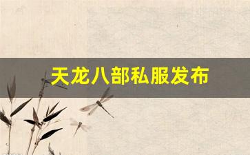 天龙八部私服发布(天龙八部手游官网) (2)