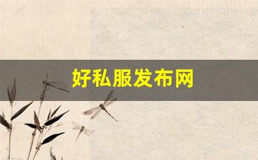 天龙八部私服网址:好私服发布网 (9)