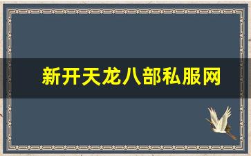 新开天龙八部私服网 (9)
